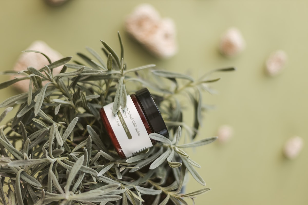 Rejuvenating Lavender Face Cream